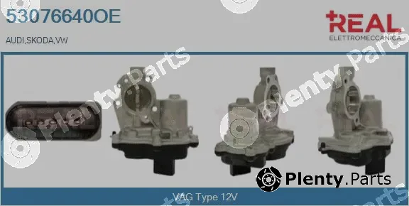 Real 53076640OE — EGR Valve
