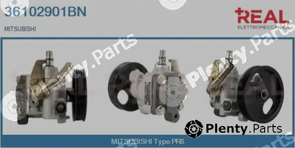 Real 36102901BN — Hydraulic Pump, steering