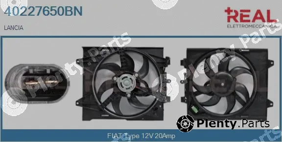 Real 40227650BN — Electric Motor, radiator fan