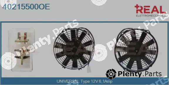Real 40215500OE — Electric Motor, radiator fan