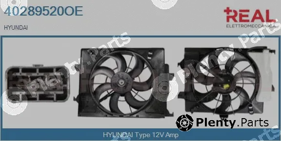 Real 40289520OE — Electric Motor, radiator fan