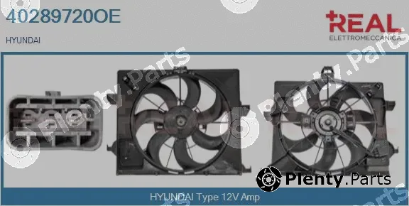 Real 40289720OE — Electric Motor, radiator fan
