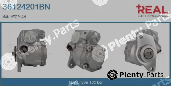 Real 36124201BN — Hydraulic Pump, steering