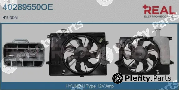 Real 40289550OE — Electric Motor, radiator fan