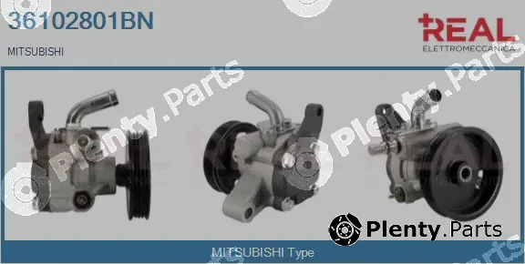 Real 36102801BN — Hydraulic Pump, steering