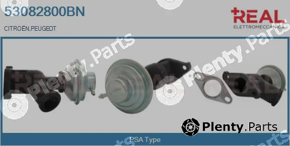 Real 53082800BN — EGR Valve