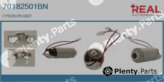 Real 70182501BN — Fuel Pump