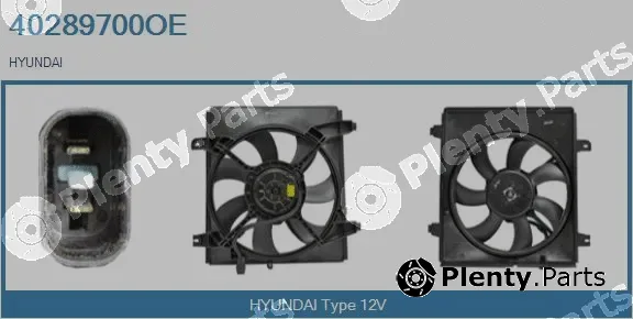 Real 40289700OE — Electric Motor, radiator fan