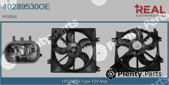 Real 40289530OE — Electric Motor, radiator fan