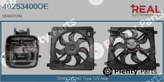 Real 40253400OE — Electric Motor, radiator fan