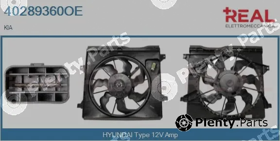 Real 40289360OE — Electric Motor, radiator fan