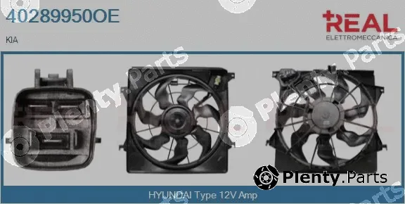 Real 40289950OE — Electric Motor, radiator fan