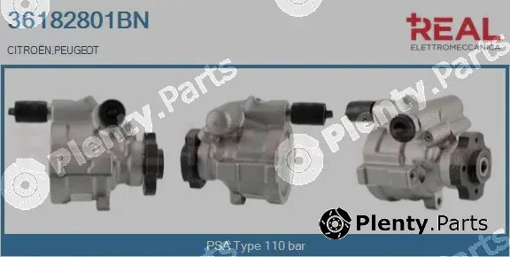 Real 36182801BN — Hydraulic Pump, steering