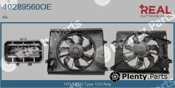 Real 40289560OE — Electric Motor, radiator fan
