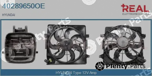 Real 40289650OE — Electric Motor, radiator fan