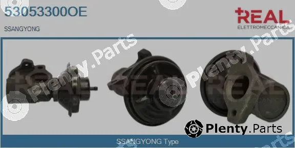 Real 53053300OE — EGR Valve