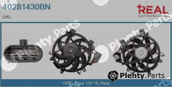 Real 40281430BN — Electric Motor, radiator fan