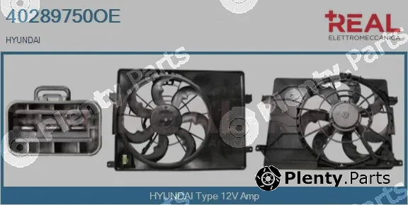 Real 40289750OE — Electric Motor, radiator fan