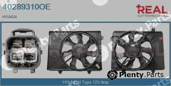Real 40289310OE — Electric Motor, radiator fan