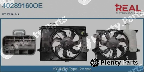 Real 40289160OE — Electric Motor, radiator fan