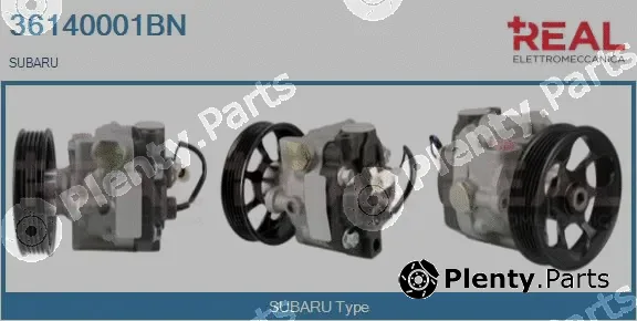 Real 36140001BN — Hydraulic Pump, steering