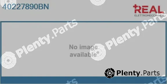 Real 40227890BN — Electric Motor, radiator fan