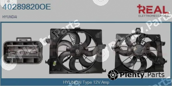 Real 40289820OE — Electric Motor, radiator fan