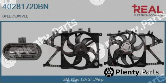 Real 40281720BN — Electric Motor, radiator fan