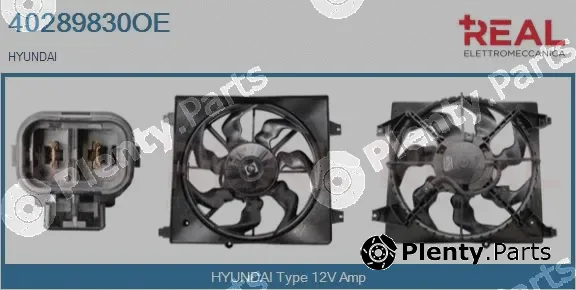 Real 40289830OE — Electric Motor, radiator fan