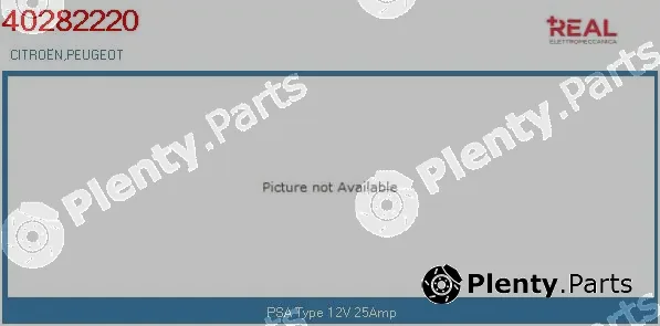 Real 40282220OE — Electric Motor, radiator fan