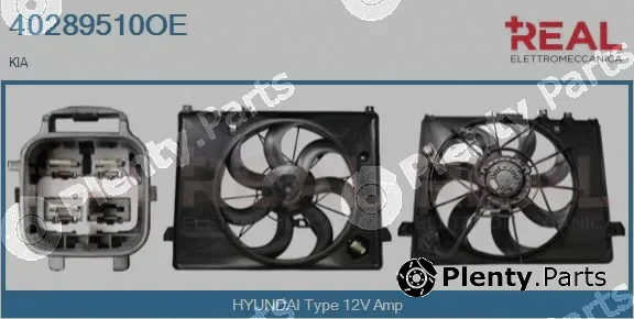 Real 40289510OE — Electric Motor, radiator fan