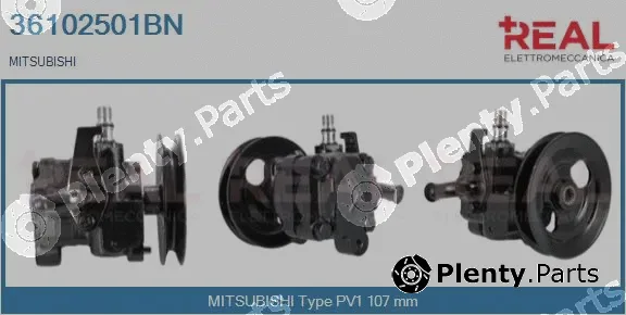 Real 36102501BN — Hydraulic Pump, steering