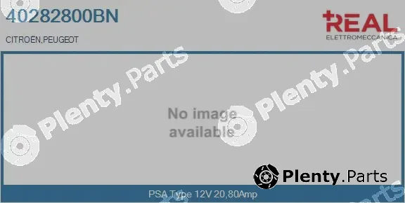 Real 40282800BN — Electric Motor, radiator fan