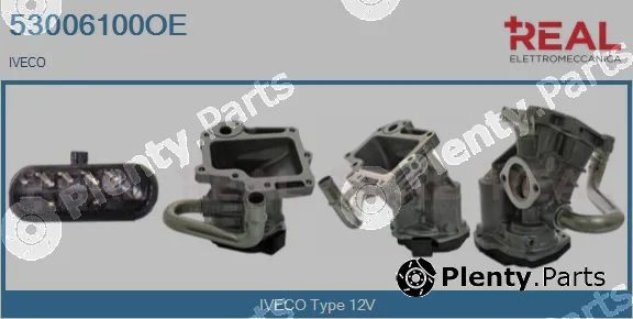 Real 53006100OE — EGR Valve