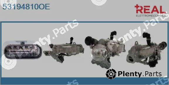 Real 53194810OE — EGR Module