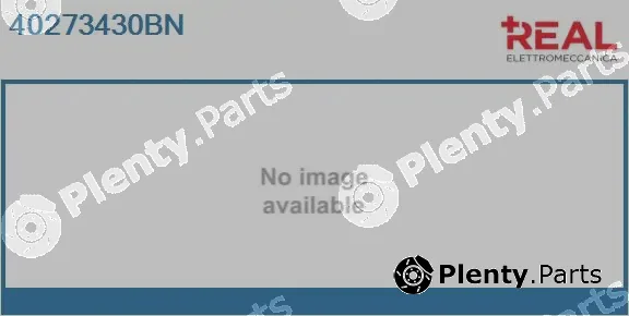 Real 40273430BN — Electric Motor, radiator fan