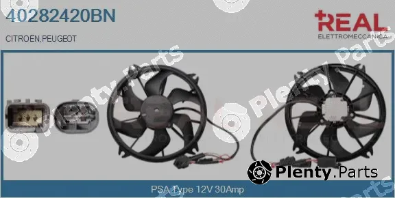 Real 40282420BN — Electric Motor, radiator fan