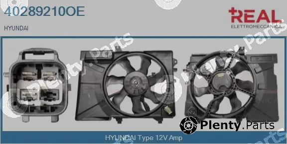 Real 40289210OE — Electric Motor, radiator fan