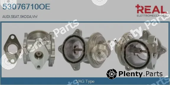 Real 53076710OE — EGR Valve