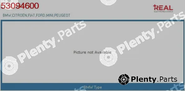 Real 53094600BN — EGR Valve