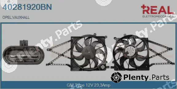 Real 40281920BN — Electric Motor, radiator fan