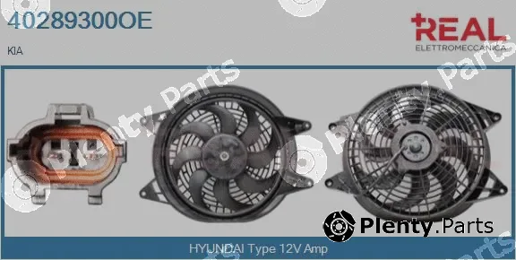 Real 40289300OE — Electric Motor, radiator fan