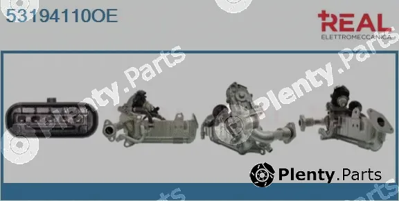 Real 53194110OE — EGR Module