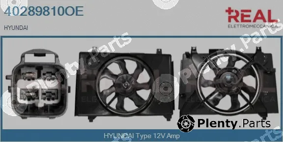 Real 40289810OE — Electric Motor, radiator fan