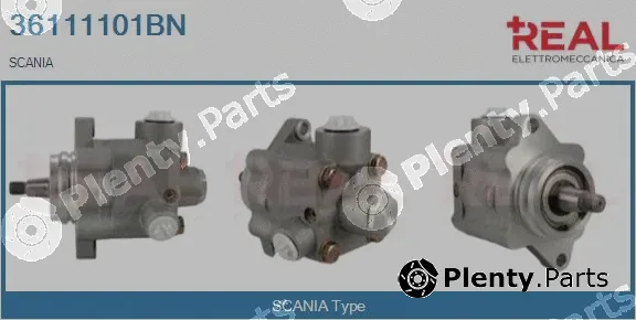 Real 36111101BN — Hydraulic Pump, steering
