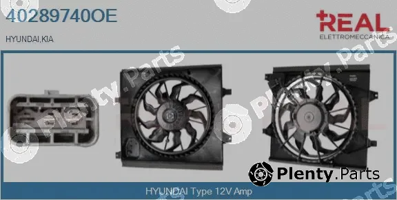 Real 40289740OE — Electric Motor, radiator fan