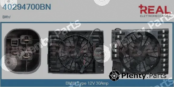 Real 40294700BN — Electric Motor, radiator fan