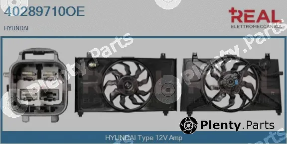 Real 40289710OE — Electric Motor, radiator fan