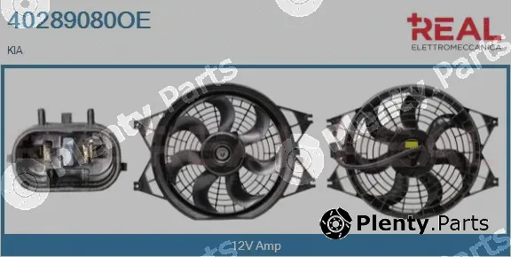 Real 40289080OE — Electric Motor, radiator fan