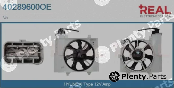 Real 40289600OE — Electric Motor, radiator fan